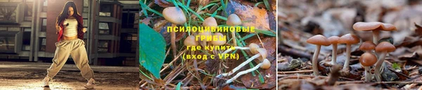 марки lsd Алексеевка