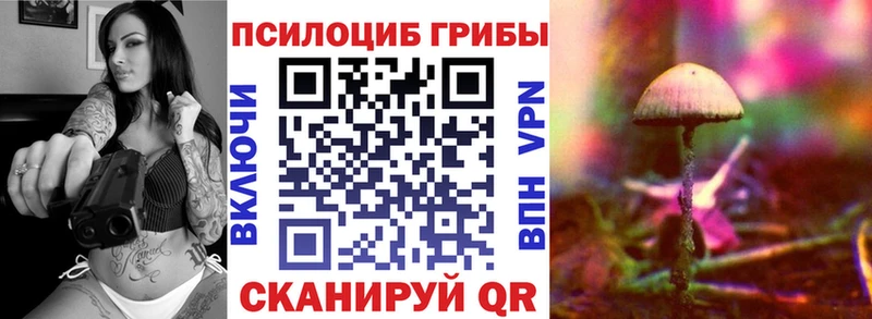 Купить где  Сорочинск  Галлюциногенные грибы прущие грибы 